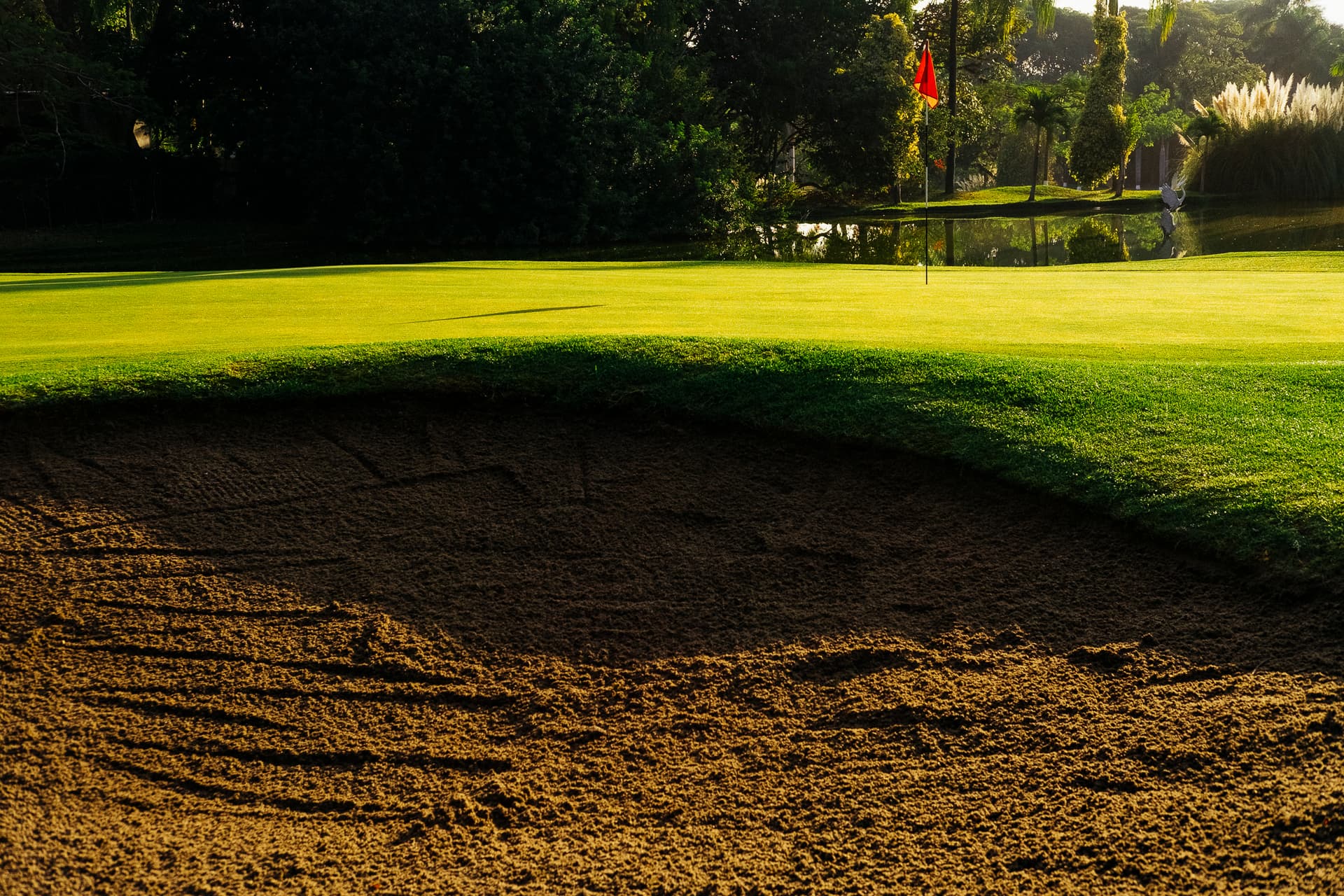 El campo de golf al atardecer